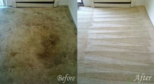 Hydra Clean LLC business image in Hattiesburg, MS